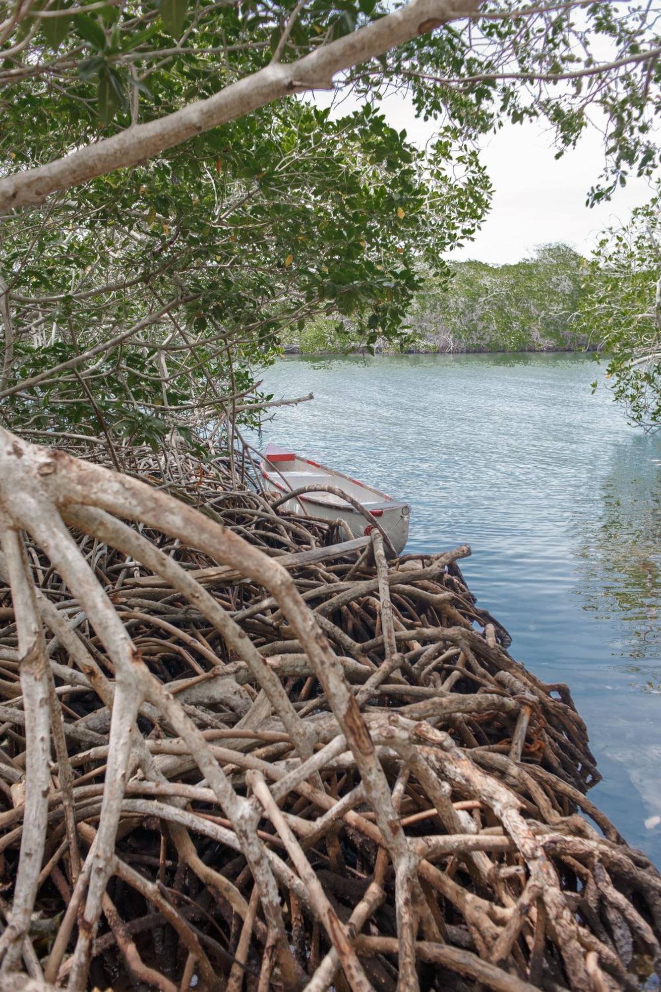 Isla Grande Eco-Hostal Luaran gambar