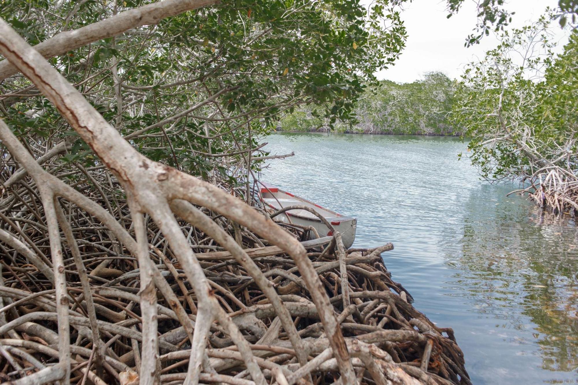 Isla Grande Eco-Hostal Luaran gambar