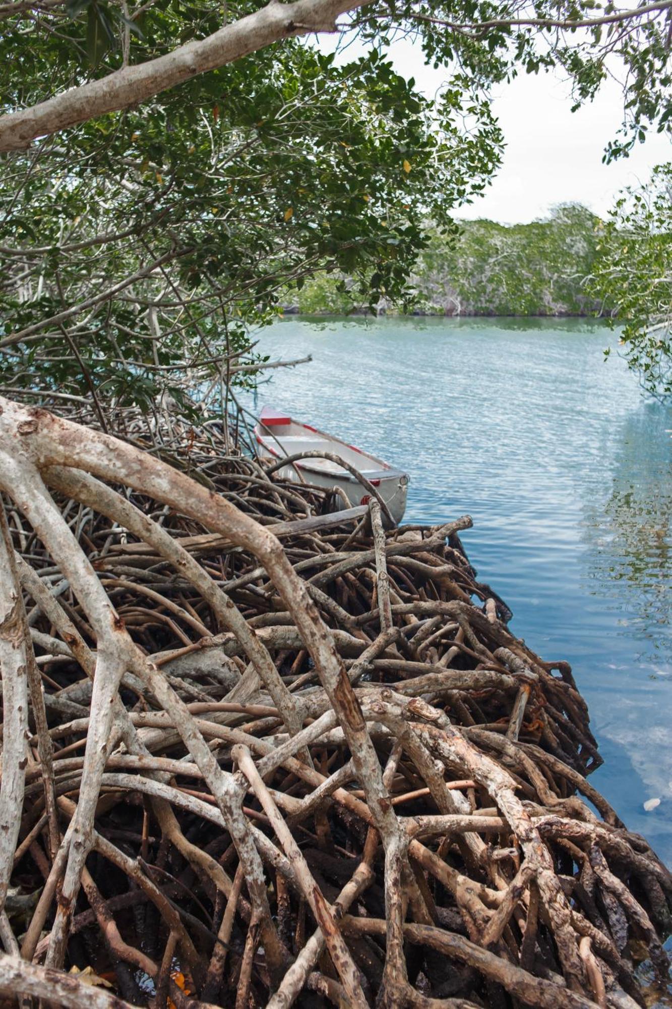 Isla Grande Eco-Hostal Luaran gambar